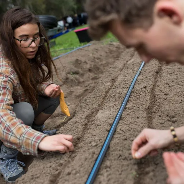 thumbnail for publication: Implementing Participatory Action Research in Agricultural Contexts